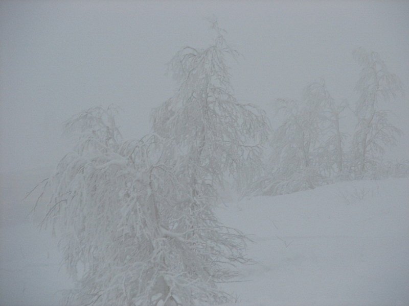 Хибины, г. Кировск, начало января 2006 г.