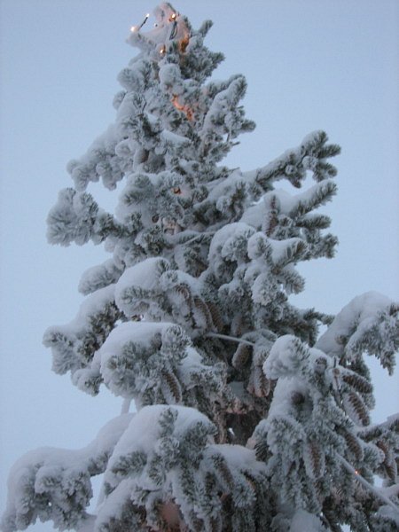 Россия, Кировск