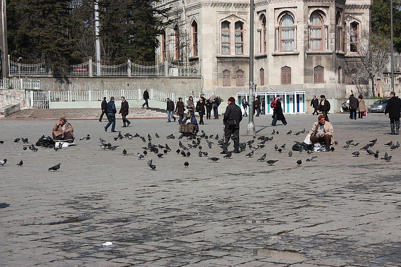 Турция. Стамбул.