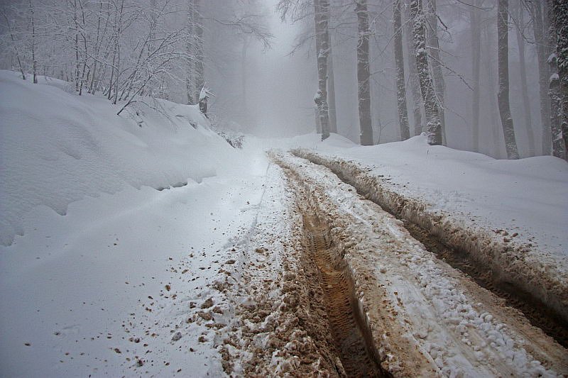 Россия. Красная Поляна.