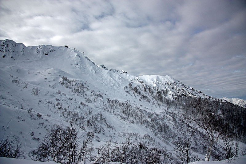 Россия. Красная Поляна.