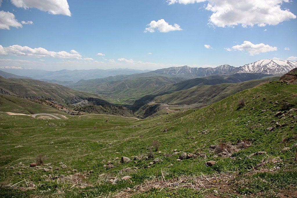 Армения