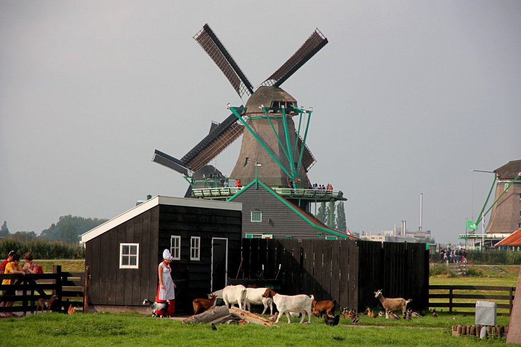 1718.jpg