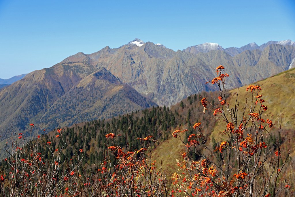 Россия, Красная Поляна