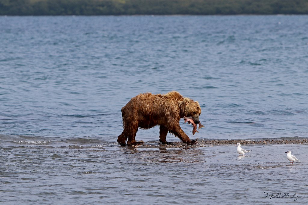 Россия, Камчатка